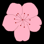 豆花视频APP应用